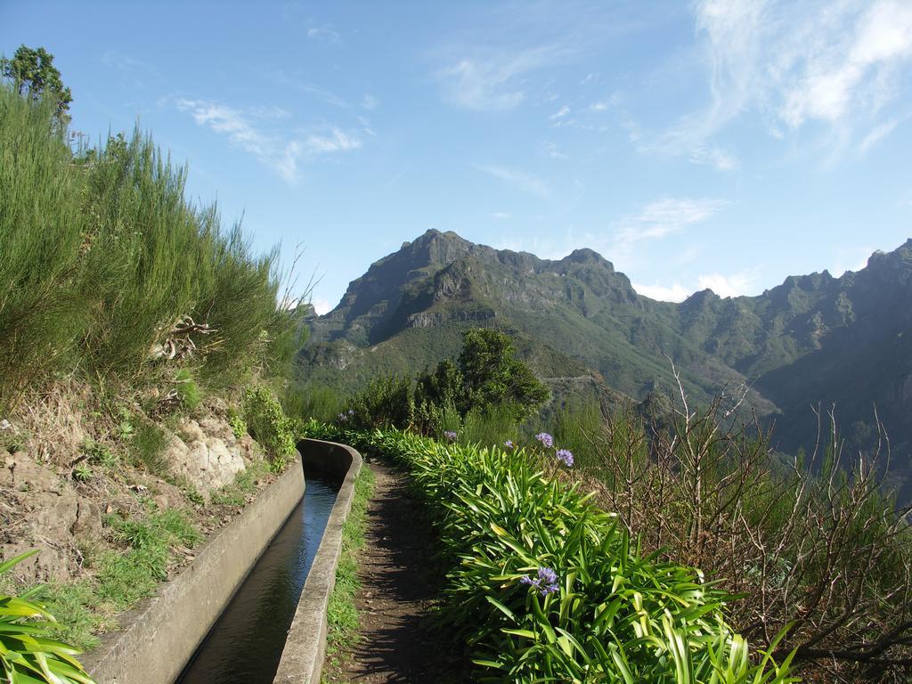 Apartment Palma Madeira Wandern Und Tauchen Caniço Eksteriør bilde