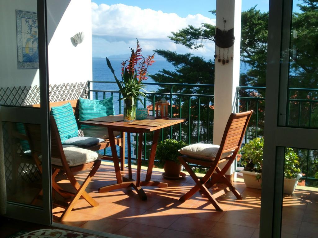 Apartment Palma Madeira Wandern Und Tauchen Caniço Rom bilde