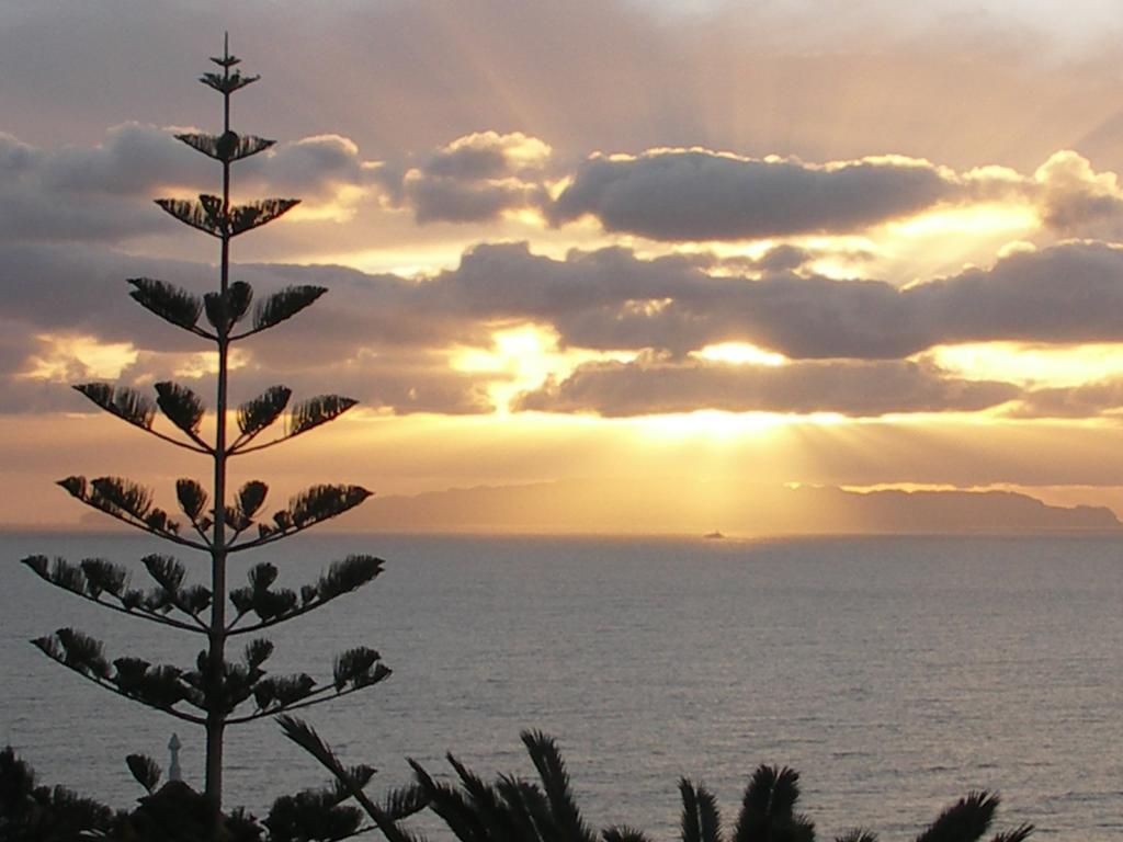 Apartment Palma Madeira Wandern Und Tauchen Caniço Rom bilde