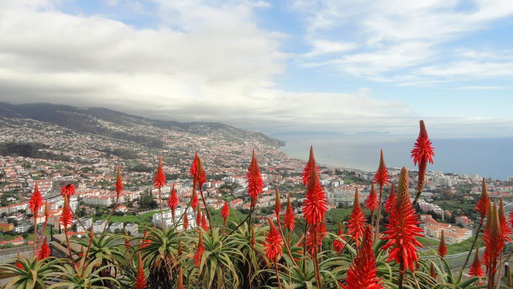 Apartment Palma Madeira Wandern Und Tauchen Caniço Eksteriør bilde